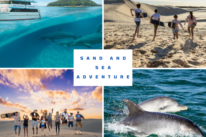 Collage of sand dunes, dolphins, boat, and people enjoying beach activities.